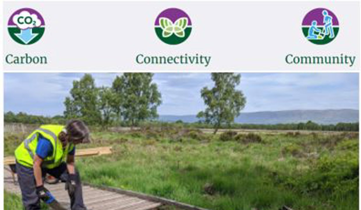 Carbon, connectivity, community - Man working on the boardwalk at Lenzie Moss
