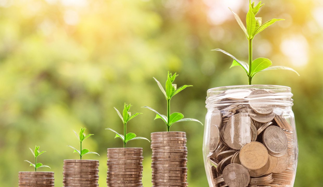 Coins with plants growing on top.