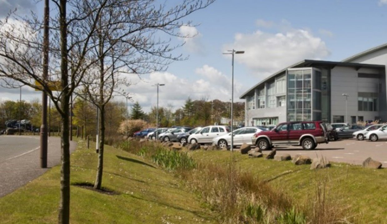 Trees on grass verge over car park and building